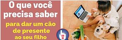 Clique para ebook