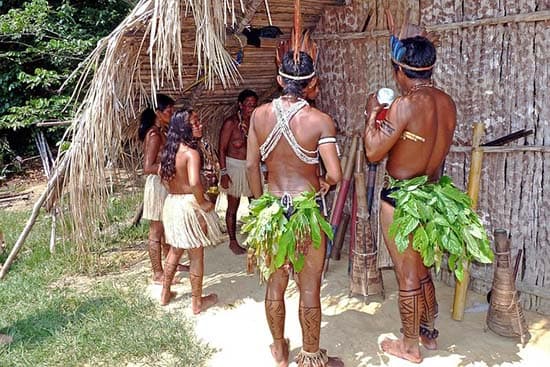 A Amazônia e os indígenas