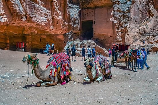 Petra