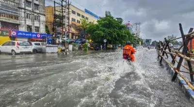 Mudanças climáticas estão entre os fatos alarmantes